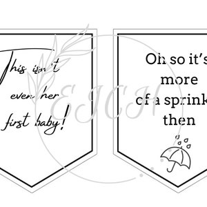 Schitt&#39;s creek baby shower/sprinkle bunting PDF