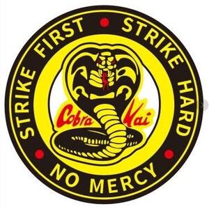 May include: Black and yellow circle with the text "Strike First Strike Hard No Mercy" around the edge. In the center is a black cobra with red eyes and the text "Cobra Kai" in red and white.