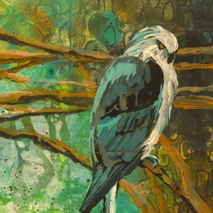 Original Acrylic Painting: White Tailed Kite