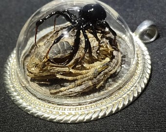 Echte Schwarze Witwe Spinne Anhänger Halskette Wüste Spiny Eidechse Kopf/Klauen Swarovski Kristall Blume Taxidermy Mode Einzigartige Gothic Schmuck