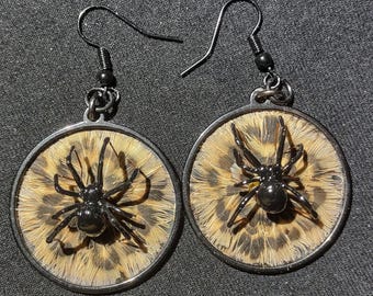 Echte Schwarze Witwe Spinne Ohrringe echte Fasan Federn Einzigartige Statement Stück Schmuck konservierte Insekt