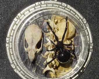 Echte Schwarze Witwe Spinne Halskette Maus Schädel Coachwip Schlange Haut Knochen Witwe Ei Säcke Einzigartige Statement Stück Schmuck Taxidermy