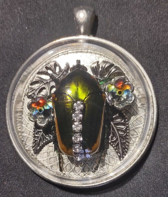 Real Green June Bug Beetle Pendant Necklac Clear Glass Crystals AB