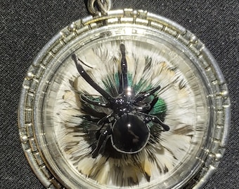 Echte Schwarze Witwe Spinne Anhänger Halskette Fasan Federn Achat Stein Einzigartige Statement Schmuckstück Präparatoren Preserved Insekt