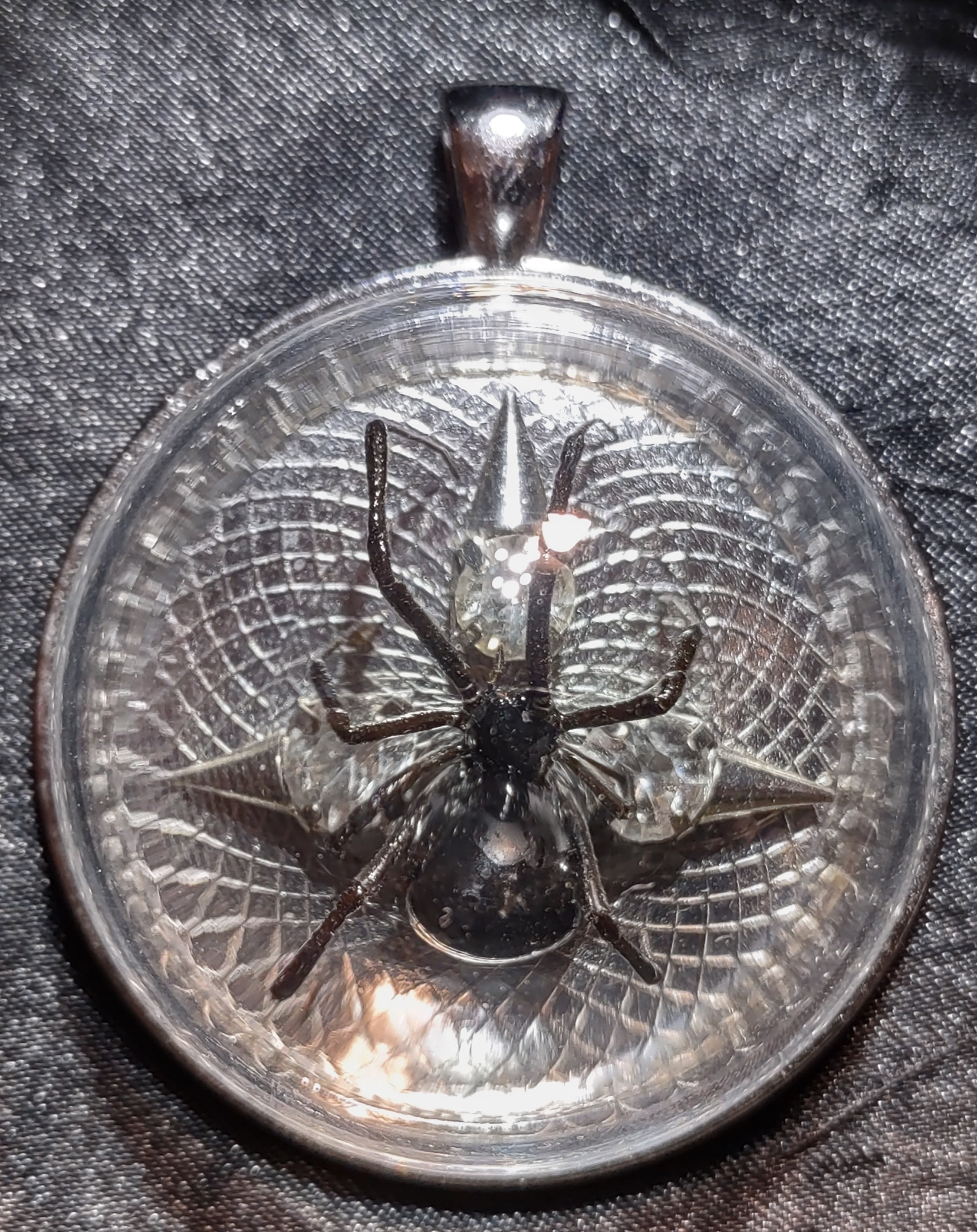 Real Black Widow Spider Necklace, Gothic Jewelry, Preserved