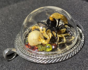 Real Black Widow Spider Pendant, Striped-Tail Scorpion, Coachwip Snake Skin, Garnet & Peridot Gems