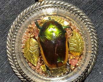 Echte grüne Juni Käfer Anhänger Halskette Roségold Kristall Spirale Swarovski Kristalle erhalten Insekt Entomologie Blumenschmuck