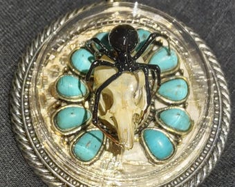 Echte Schwarze Witwe Spinne Anhänger Halskette Ausgestellter Maus Schädel türkis Schmuck Schlangenhaut Gothic Mode Kuriositäten erhalten