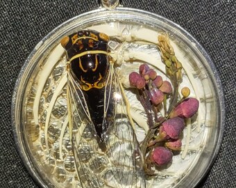 Echte Zikade Beatle Anhänger Halskette Diamondback Klapperschlange Knochen Sonoran Paradiesvogel Reptilien Cabermy Einzigartiges erhaltenes Insekt