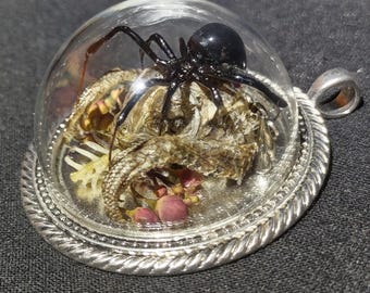 Echte Schwarze Witwe Spinne Anhänger Halskette Eidechse Kopf Und Klauen Sanoran Paradiesvogel Knospen Swarovski Kristall Blumen Taxidermy Schmuck
