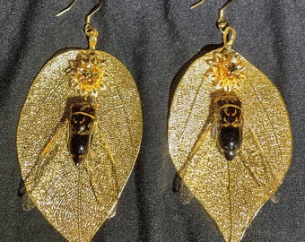 "Echte Zikadenkäfer Ohrringe ""Feenflügel"" Vergoldete Blätter Harz Einzigartige Alternative Mode Statement Piece."