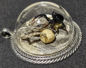 Echte Schwarze Witwe Spinne Anhänger Echte Eidechse Umklammert Witwe Ei Beutel Gothic Präparator Mode Einzigartige Schmuck