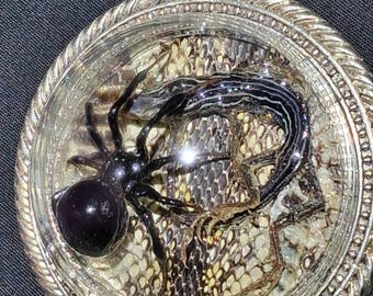 Real Black Widow Spider Pendant, Baby Whiptaitail Lizard, Kingsnake Skin, Preserved Insect jewelry