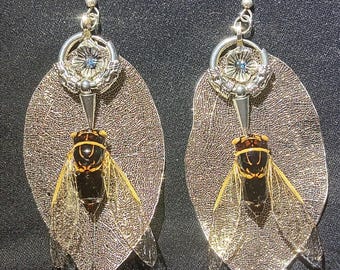 Echte Zikadenkäfer Ohrringe “Feenflügel” Silberfarbene Blätter Harz Konservierte Insekten Einzigartige Alternative Mode Statement Piece