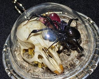 Real Female & Male Black Widow Spiders Necklace, Rat Skull, Diamondback Rattlesnake Skin, Gemstones