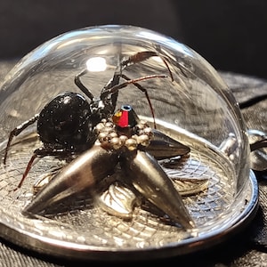 Puede incluir: Una araña negra encerrada en un colgante de cúpula de vidrio transparente, posada sobre una base de estrella plateada con una gema roja y negra en el centro.