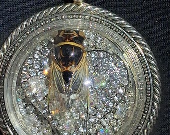 Real Cicada Beetle Pendant Necklace, Crystal Heart Pin, Spiral Chain, Entomology Jewelry