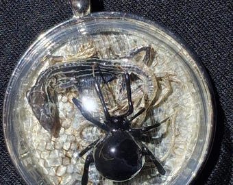 Real Black Widow Spider Necklace, Baby Whiptaitail Lizard, Desert Spiny Lizard Skin Preserved Insect