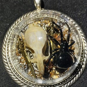 May include: A circular, silver-coloured pendant with a clear, domed centre. Inside, a small animal skull and a black spider are set against a backdrop of gold and bronze-coloured metal. The pendant has a decorative, twisted rope border.