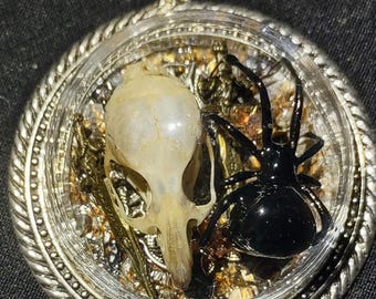 Echte Schwarze Witwe Spinne Anhänger Halskette Taxidermy Maus Schädel Wüste Spiny Eidechse gekreuzte Schwerter Gothic Schmuck