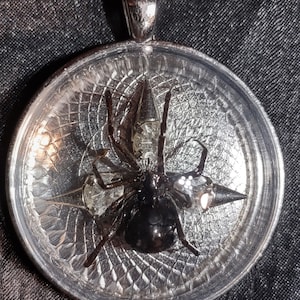 Puede incluir: Un colgante de plata con una araña negra encapsulada en resina. La araña está rodeada por un diseño de telaraña de plata.