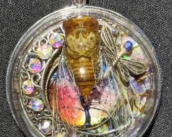 Echte Zikade Beatle Anhänger Halskette Auf Glas Sonnenuntergang Anhänger AB Kristall Strass Magische Fee Flügel Einzigartige Konserven Insekt Schmuck