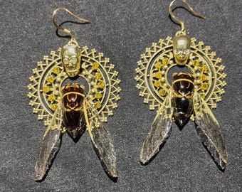 Echte Zikadenkäfer Ohrringe Fee Flügel Verzierte Runde Filigrane Basis Gold Schädel & Spikes Harz erhalten Alternative Mode Statement Piece