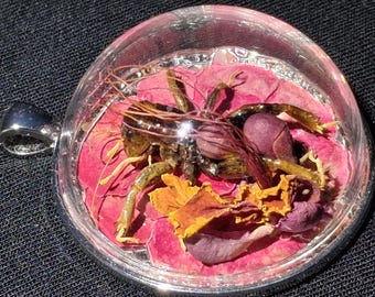 Real Jerusalem Cricket Pendant Necklace with Preserved Flowers, Sonoran Bird of Paradise, Insect Jewelry