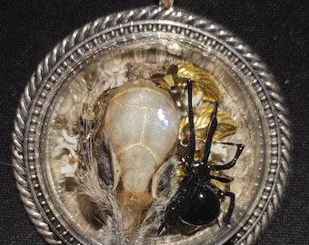 Echte Schwarze Witwe Spinne Halskette Taxidermy Maus Schädel Diamondback Klapperschlange Haut und Knochen Swarovski Kristallblumen Southwestern Gothic