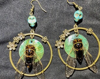 "Zikadenkäfer Ohrringe ""Feenflügel"" Türkisfarbener Schädel gefärbt Muschel Harz konservierte Insekten Alternative Fashion Statement Piece."