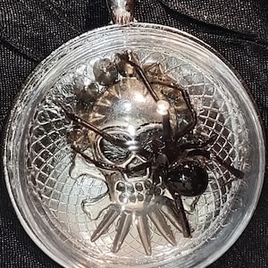 Puede incluir: Un colgante de calavera de plata con una araña negra dentro de una cúpula de vidrio transparente. La calavera tiene un diseño detallado y la araña está colocada encima de la calavera.