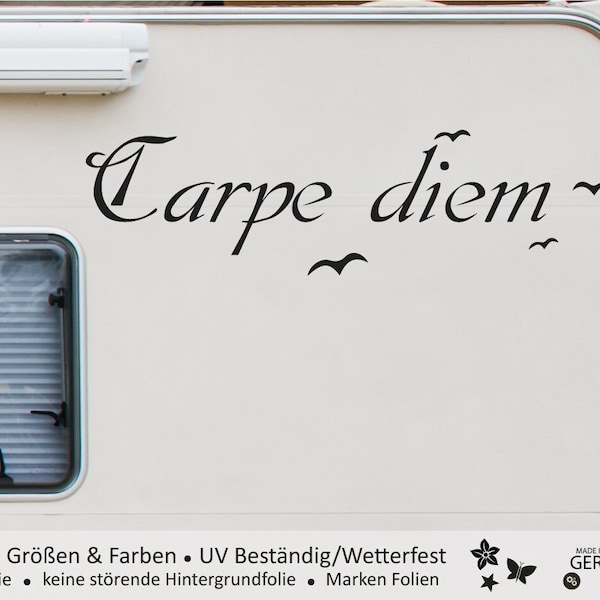 Carpe diem | Wohnmobile Wohnwagen Aufkleber | Camping Urlaub Auto & Mehr - Selbstklebend | Auch als Wandtattoo