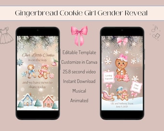 Winter Gender Reveal Video Template for Baby Girl, Christmas Gender Reveal Video, Cookie Gender Reveal Ideas, Digital Gender Announcement