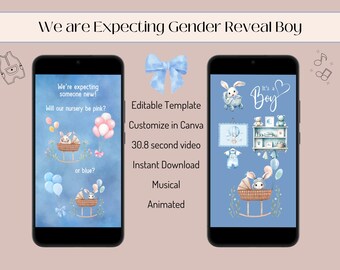 It's a Boy Gender Reveal Video: Musical Animated Announcement (Digital)