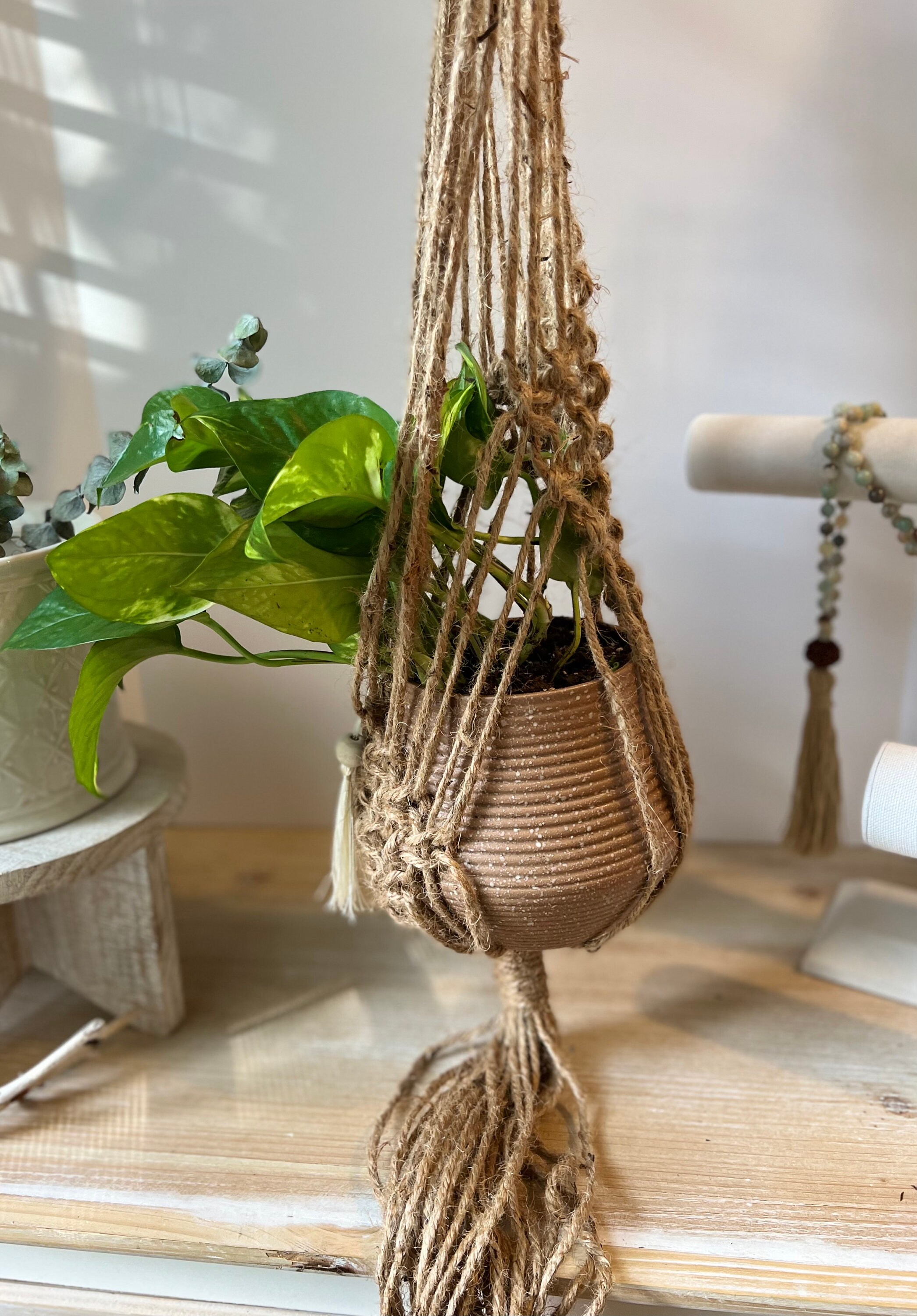 Large Driftwood Macrame Plant Hanger Etsy