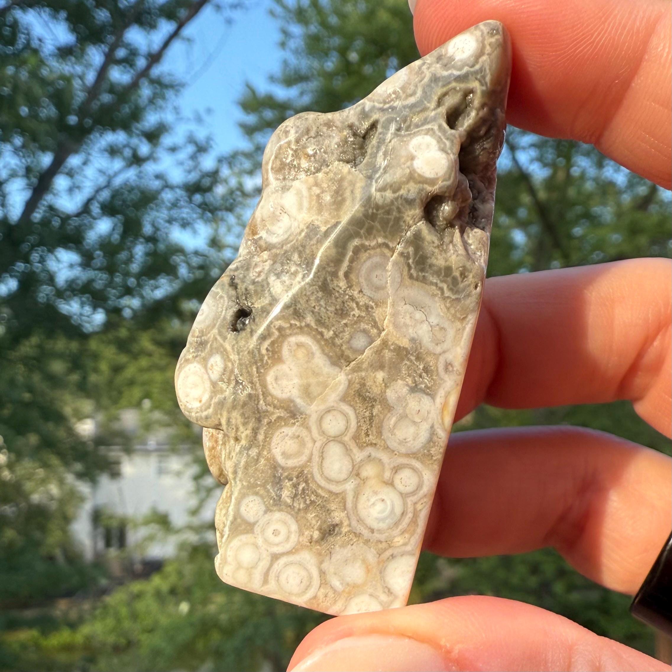 8th Vein Ocean Jasper Freeform | 50g | 柔らかな白、グレー 
