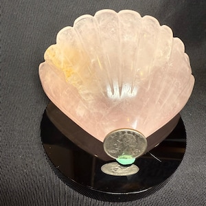 Hand-Carved Rose Quartz Shell | Pink Rose Quartz Seashell Crystal Decor Carving