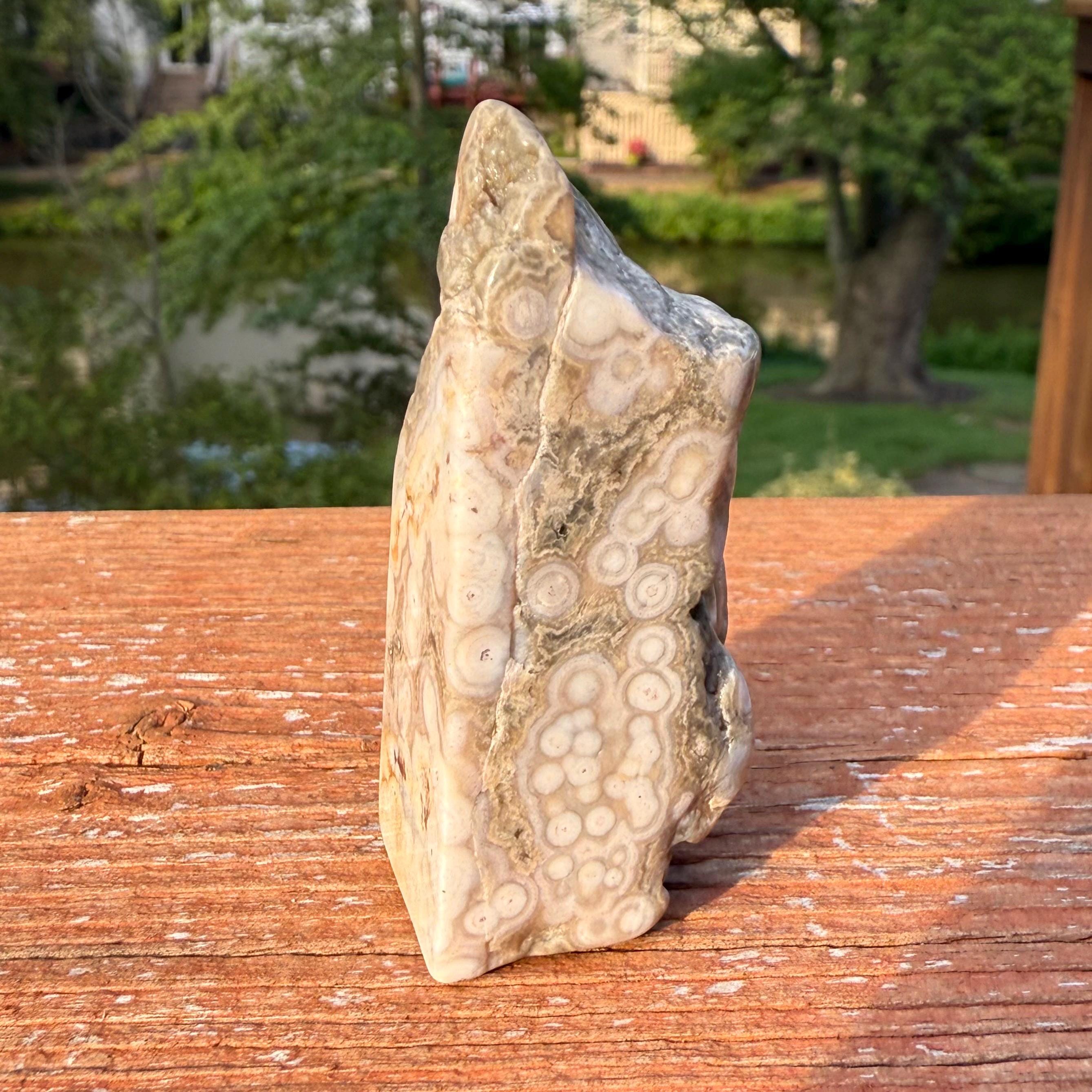 8th Vein Ocean Jasper Freeform | 50g | 柔らかな白、グレー
