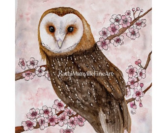 Barn Owl in the Cherry Blossoms - Fine Art Print