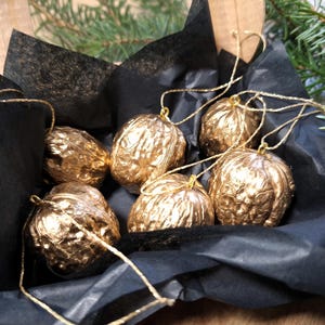 Può includere: Una collezione di sei decorazioni natalizie a forma di noce, dipinte d'oro, con cordini dorati, disposte in una scatola foderata di carta nera. Gli ornamenti hanno una superficie strutturata, con rametti di sempreverdi.