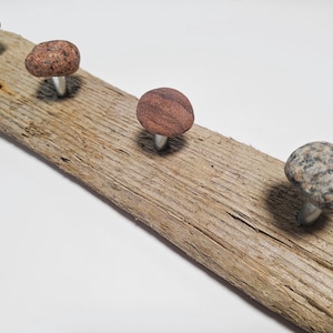 Può includere: Un attaccapanni rustico in legno con quattro pomoli in pietra naturale. I pomoli sono di varie tonalità di marrone e grigio, montati su perni argentati. Il legno ha un aspetto invecchiato e strutturato, lungo circa 30 cm.