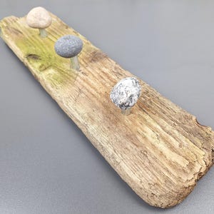 Può includere: Un appendiabiti rustico in legno di deriva con tre ganci realizzati in pietra naturale. Le pietre sono di colore marrone chiaro, grigio e bianco con macchie nere.