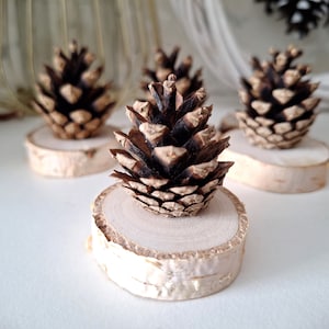 Juego de 6 piñas en rodajas de madera, decoración de piñas, decoración de inauguración de la casa navideña, piñas reales, decoración de mesa, inspiración natural