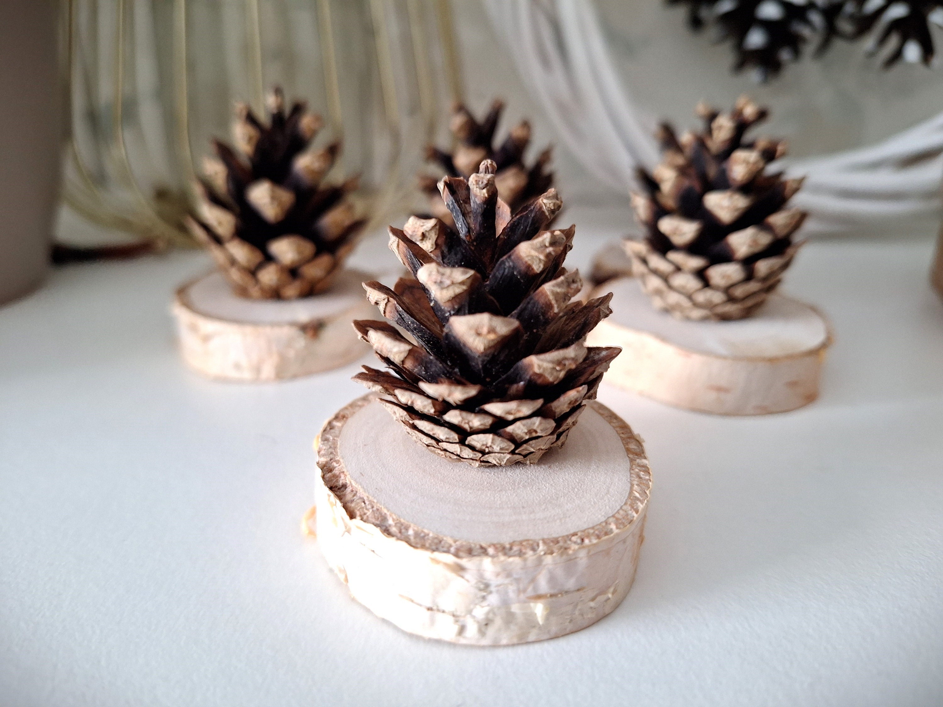 Seasonal Pinecone Arrangement