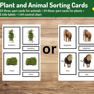 Tarjetas de clasificación de plantas y animales Montessori: lección práctica de biología para niños