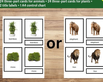 Montessori Plant and Animal Sorting Cards - Hands-On Biology Lesson for Kids