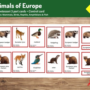 Animales de Europa / Tarjetas Montessori de 3 partes / Geografía para niños