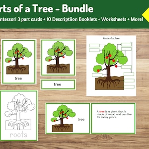 Parts of a Tree Bundle | Description Cards, Nomenclature Cards, Worksheets
