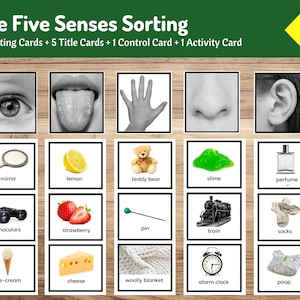 Tarjetas de clasificación de los cinco sentidos / Juego Montessori / Aprendizaje temprano / 40 tarjetas + control