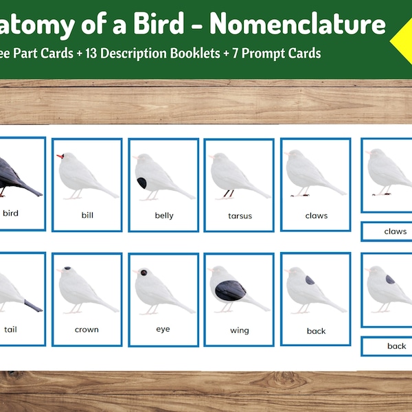 Parts of a bird | 13 Montessori Three Part cards + 13 Description Booklets + 7 Prompt Cards | Digital Downloads | Preschool and Primary